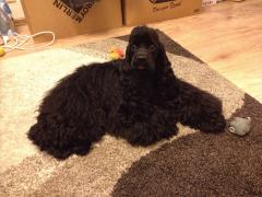 IMG-20150301-WA0000.jpg