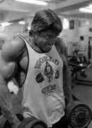 arnold_traps.jpg