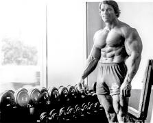 arnolds-blueprint-for-massive-shoulders-and-arms-arnold-series-musclepharm-graphic-2.jpg