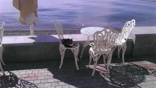 IMAG0559.jpg