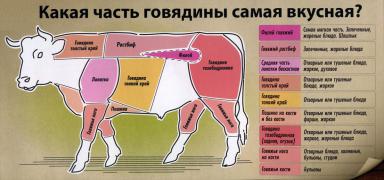Тушка.jpg