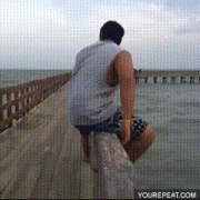 1457331645163222569.gif