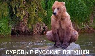 суровые русские медведи.jpg