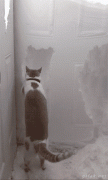 tumblr_o1e20rUOSx1qzag1wo1_400.gif