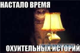 2132158.jpg