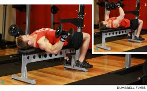 top-10-chest-exercises-dumbbell-flyes.jpg