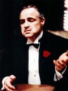 godfather_family_album_marlon_brando.jpg