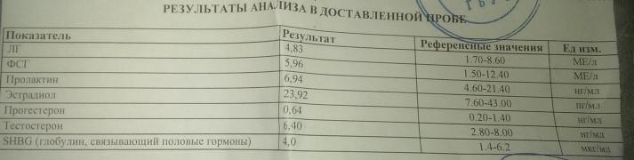 IMAG0229.jpg