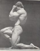 tumblr_np6t57eIiV1ut2zt9o1_540.jpg