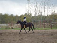 конь и эмра.jpg