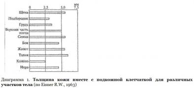 Толщина кожи