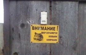 jV8xSRr4B84.jpg