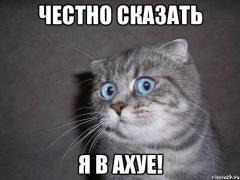 ya-v-ahue_46856537_orig_.jpeg
