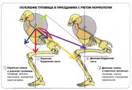 Приседание-со-штангой-на-плечах3.jpg