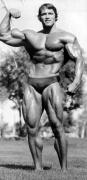scan_arnold-schwarzenegger_015_(1).jpg