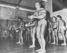 1968pro.gif
