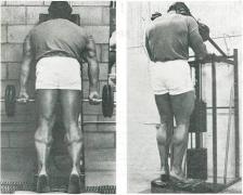 ascalves.jpg