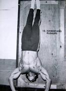 1973ashsptpig.jpg