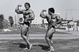 arnold6.jpg