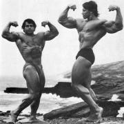 a-few-pics-of-arnold_4231.jpg