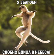 image.jpeg