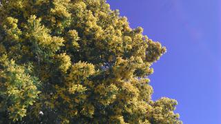 IMAG0832.jpg
