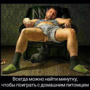 image.jpeg