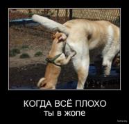 988469-2010.09.15-07.40.02-bomz.org-demotivator_kogda_vsie_ploho_tiy_v_jope.jpg
