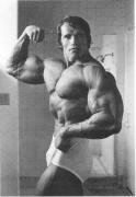 arnold_schwarzenegger_2.jpg