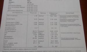 IMG_20170302_154901.jpg