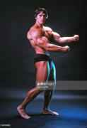 professional-bodybuilder-arnold-schwarzenegger-posing-at-the-top-of-picture-id481406439.jpg