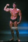 professional-bodybuilder-arnold-schwarzenegger-posing-at-the-top-of-picture-id481406571.jpg