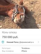 teP5zstht70.jpg