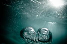 1369073406_bubbles_10.jpg