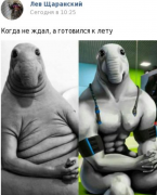 IMG_0593.PNG