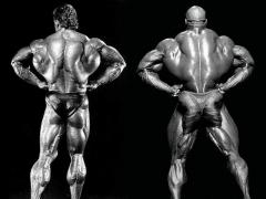 colemanyateslatspreadrear-1.jpg