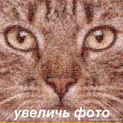 IMG-20180320-WA0002.jpg