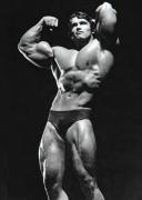 Arnold13.jpg