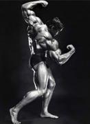 Arnold14.jpg