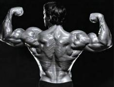 Arnold13-1.jpg