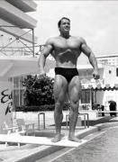 Arnold14-1.jpg