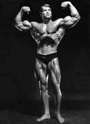 Arnold15.jpg
