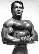 Arnold15-1.jpg