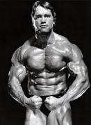 Arnold16.jpg