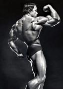 Arnold16-1.jpg