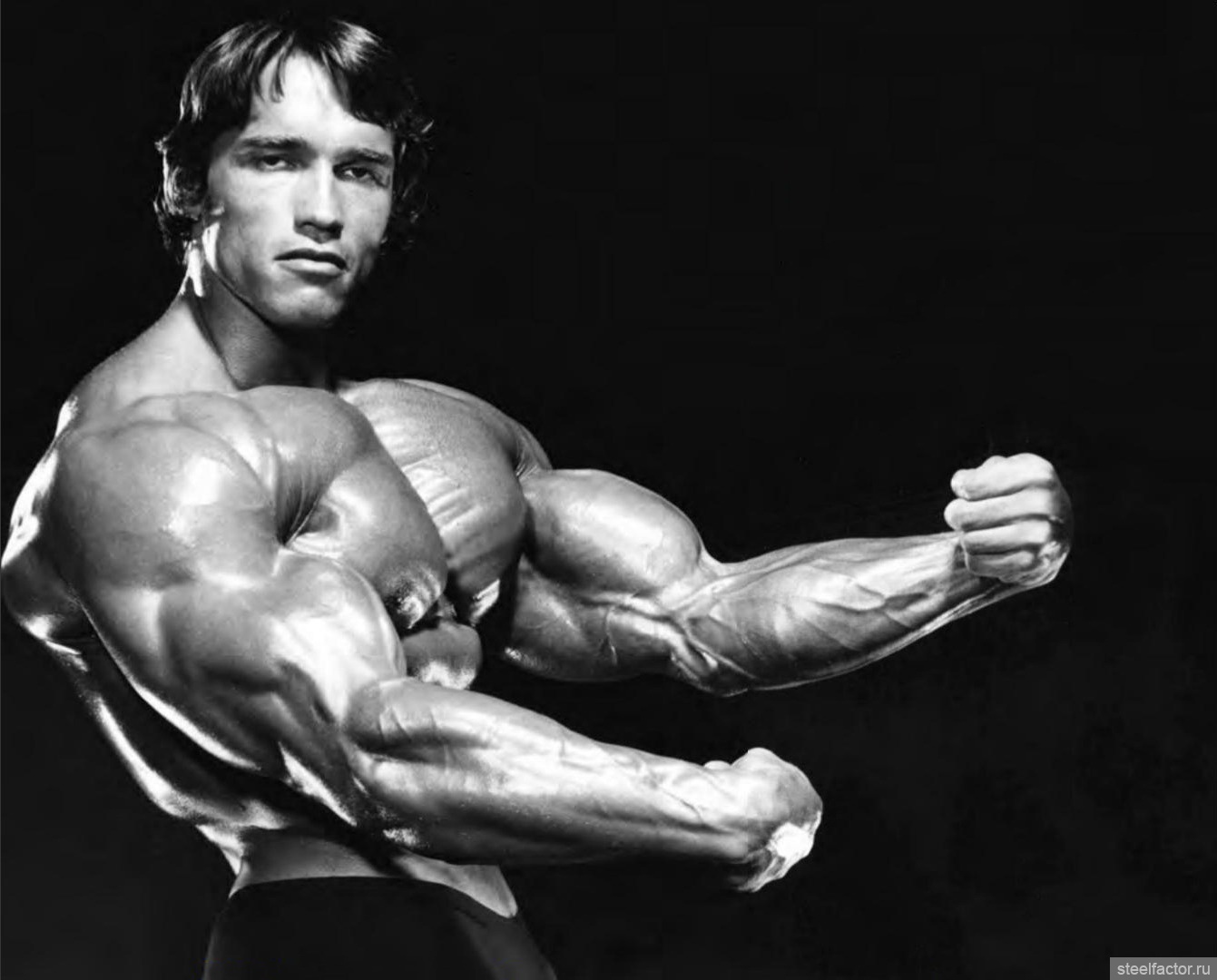 Arnold schwarzenegger tumblr