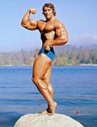 Arnold19-1.jpg