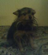 Ляля Олеговна.jpg