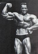 Arnold4.jpg