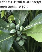 52970923_1942852872493948_3910110832976986112_n.jpg